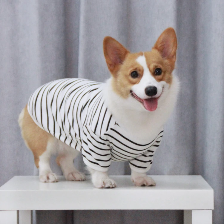棉t恤服饰条纹泰迪宠物衣服宠它衣服狗狗中小型犬柯基ins甜美现货