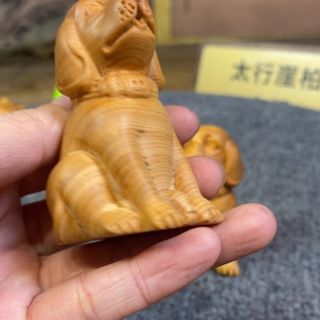 柏木（崖柏）崖柏11211