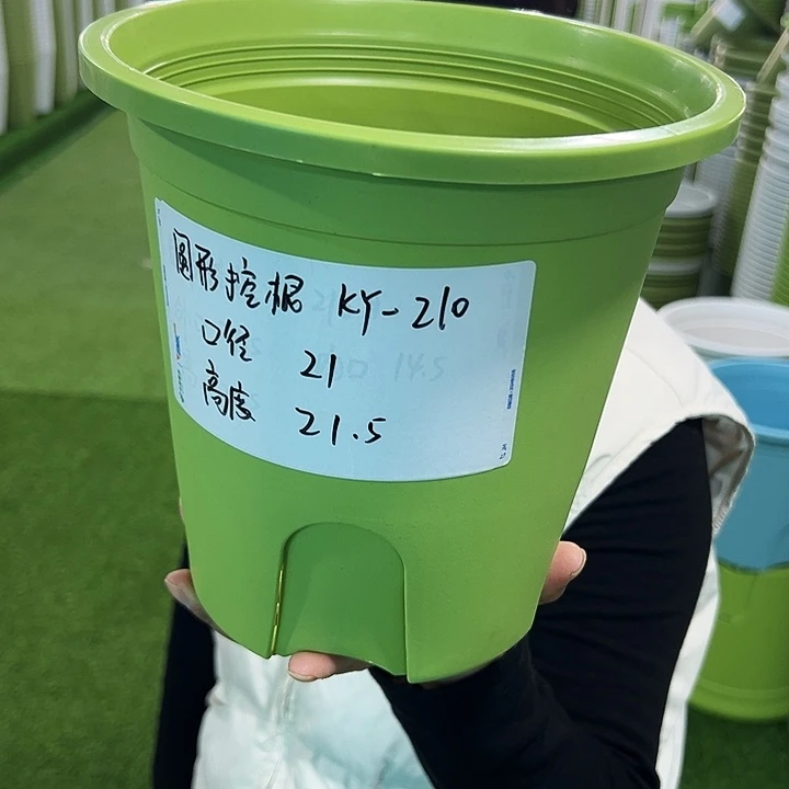 正品圆控口21高21果绿无托8只