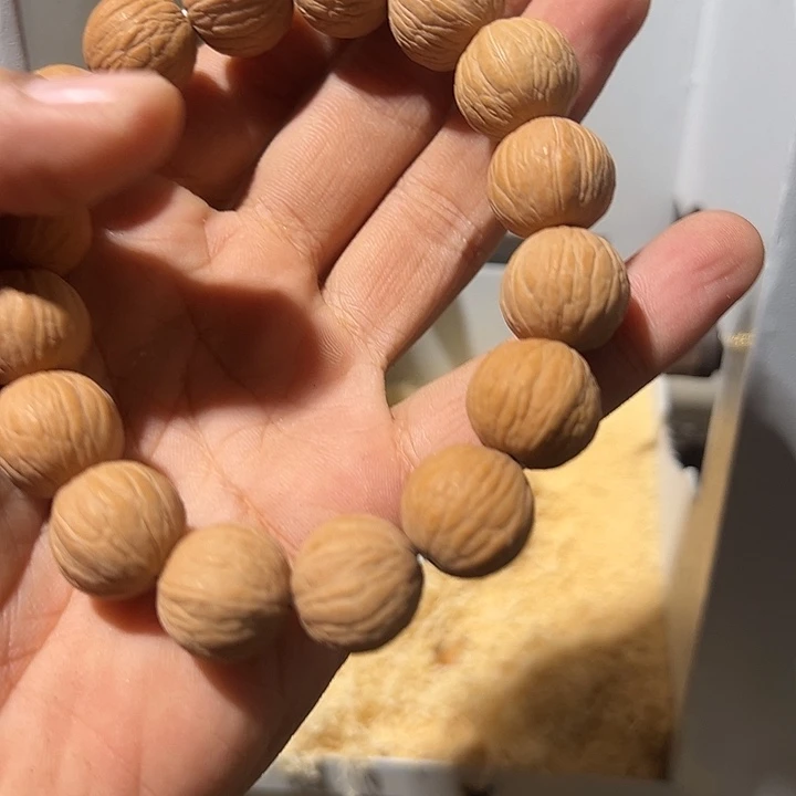 茉***茶核桃123123123猴头