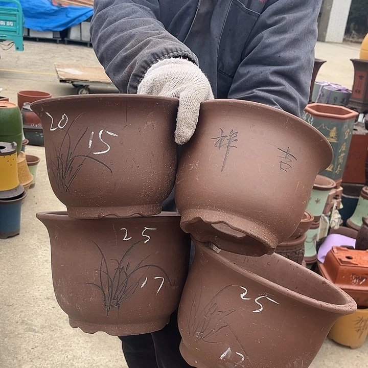 紫砂紫砂花盆盆栽