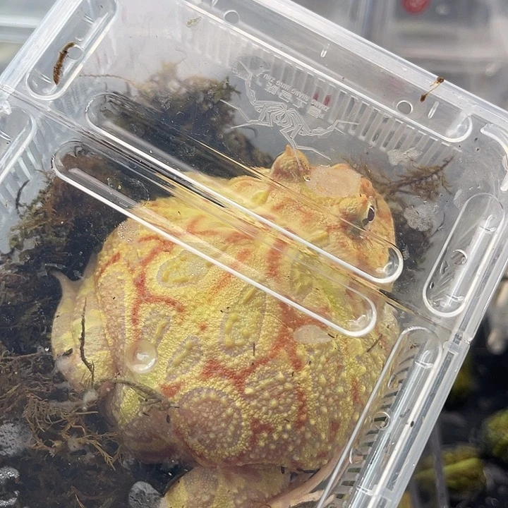 Lu拍拍拍拍拍拍拍拍