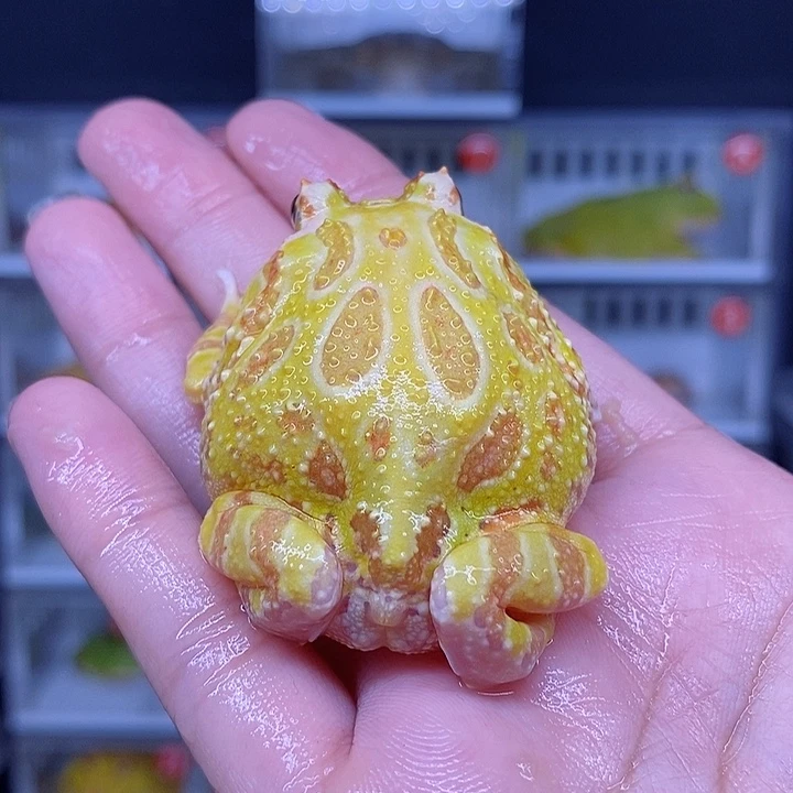 特价秒杀现货特价