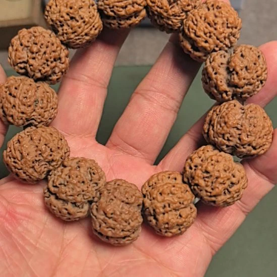 金刚菩提手串五星梅花大金刚手串，24左右，原皮原色