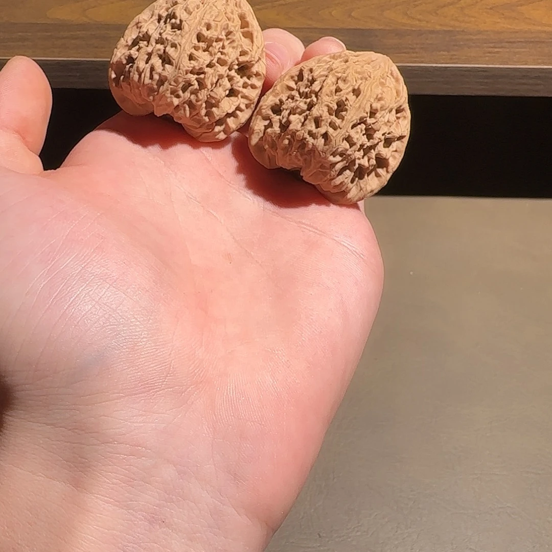 核桃40尺山地一代南疆