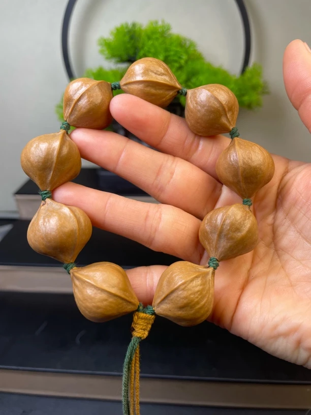 橄榄核雕2.2铁核鲨鱼背