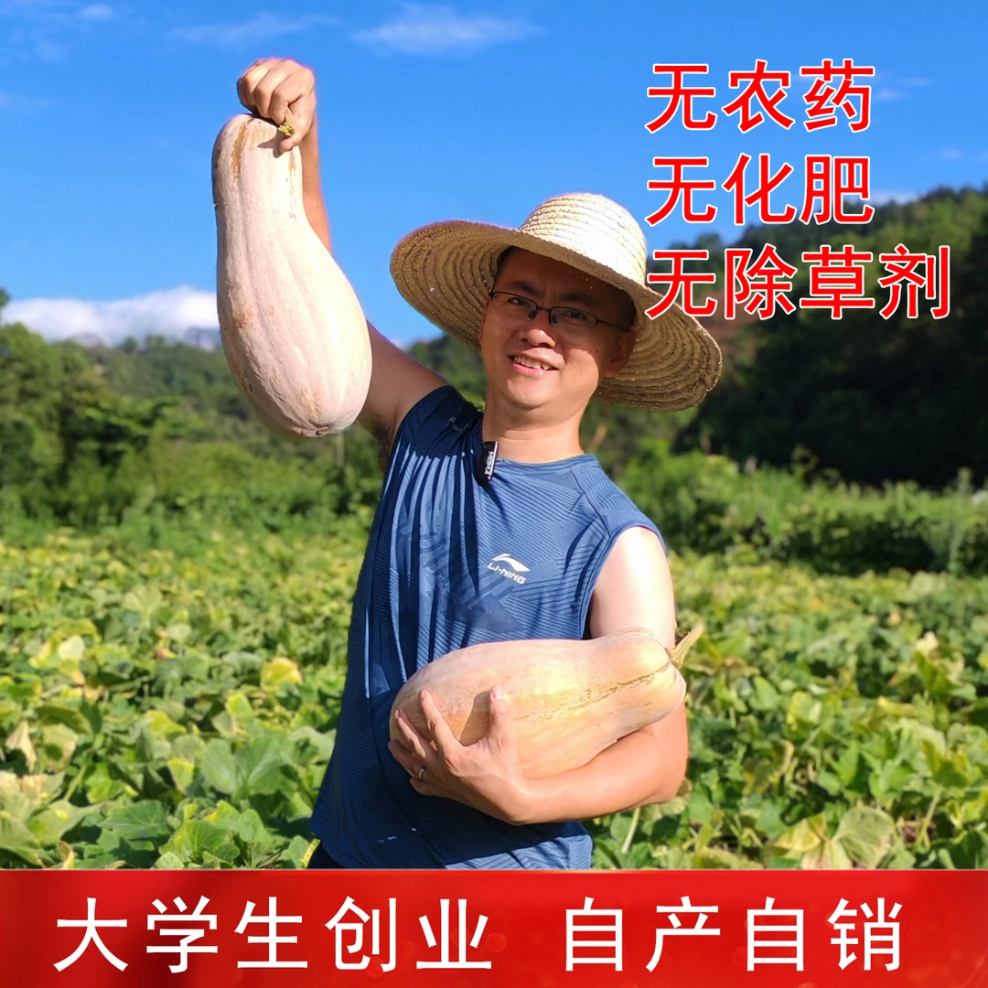 江西农家自种老南瓜新鲜天然可做南瓜干