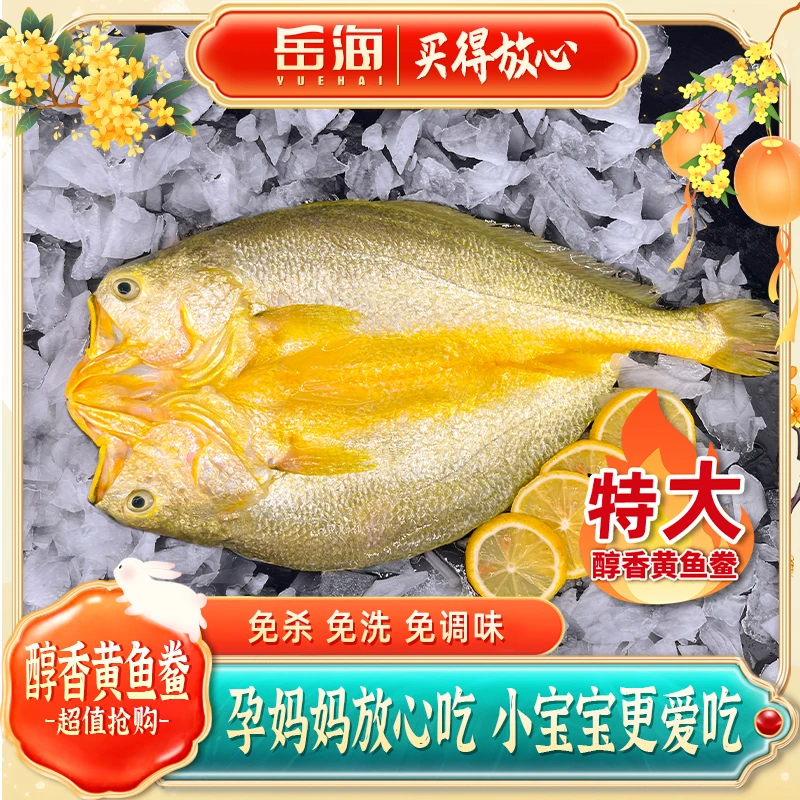宁德特大黄鱼鲞原产地正宗深海大黄鱼新鲜免处理孕妈妈小孩都可吃