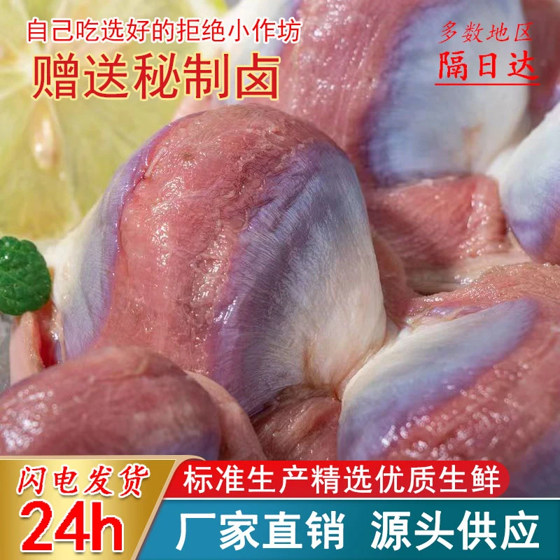 新鲜鸭胗冰冻鸭肫鸭胃生鸭珍农家大美味速冻鸭货鲜美酱香好吃卤菜