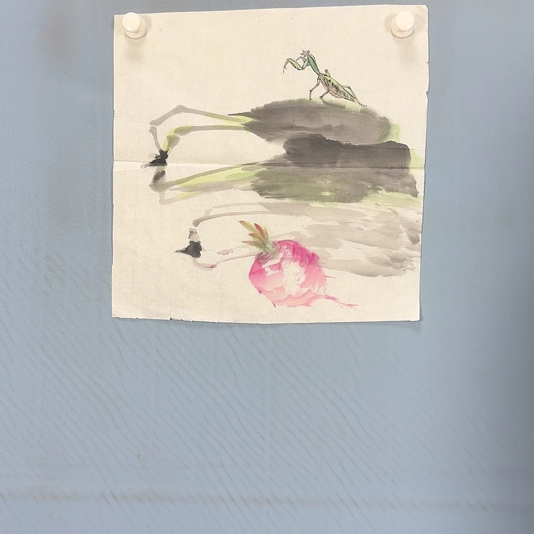 国画214 牡丹一如你初来乍