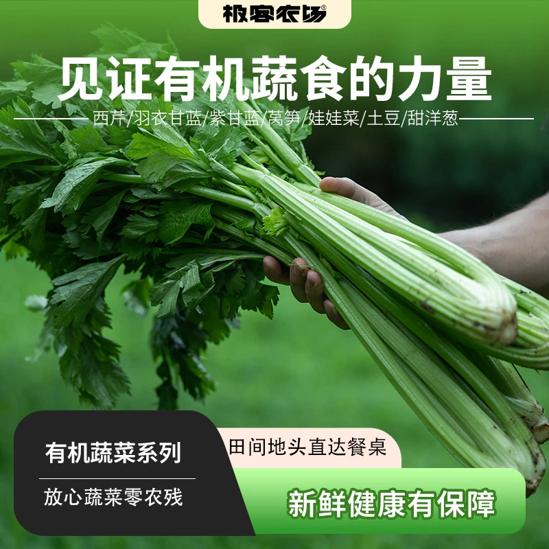 有机蔬菜西芹| 云南高山有机环境种植 鲜脆 4.5斤 顺丰