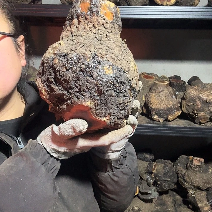 烟***燃香榧木火琉璃的故事是一个人