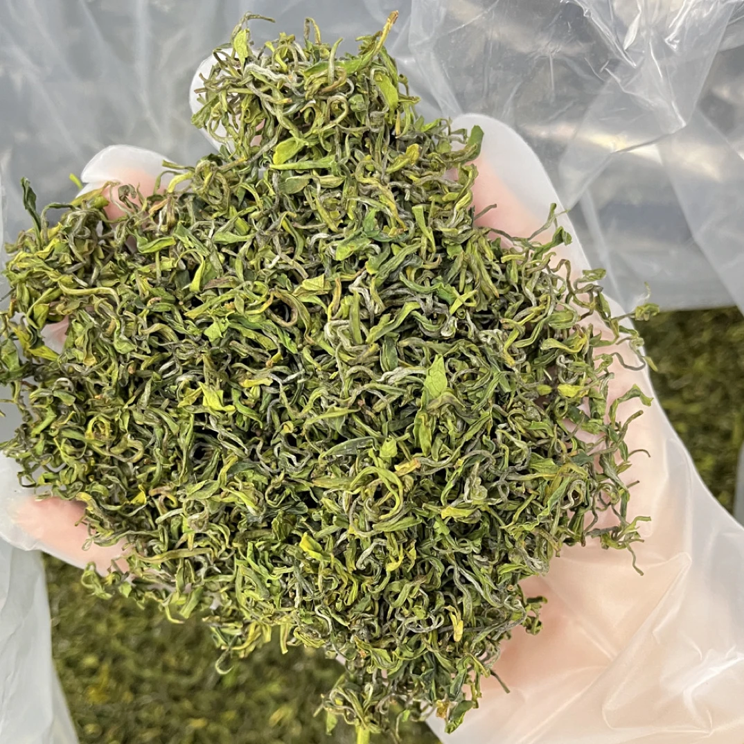 2025年新茶 安吉原产地 兰花香