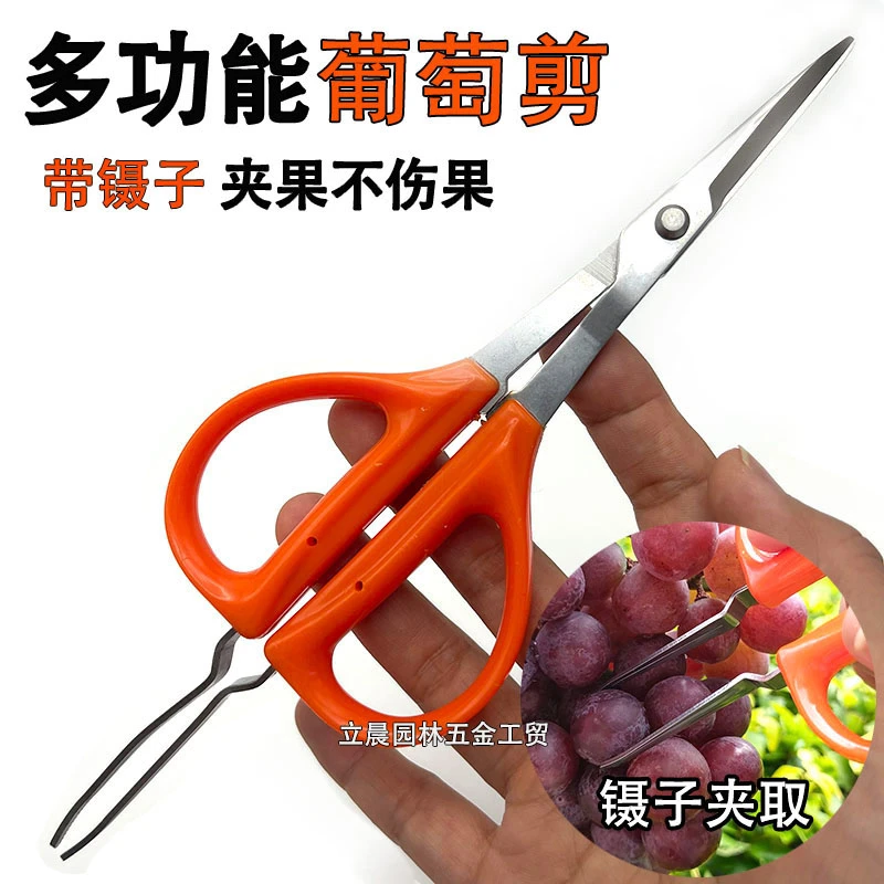 不锈钢葡萄蔬果稀果专用剪刀嫩芽剪修果带镊夹多功能翘头园艺剪
