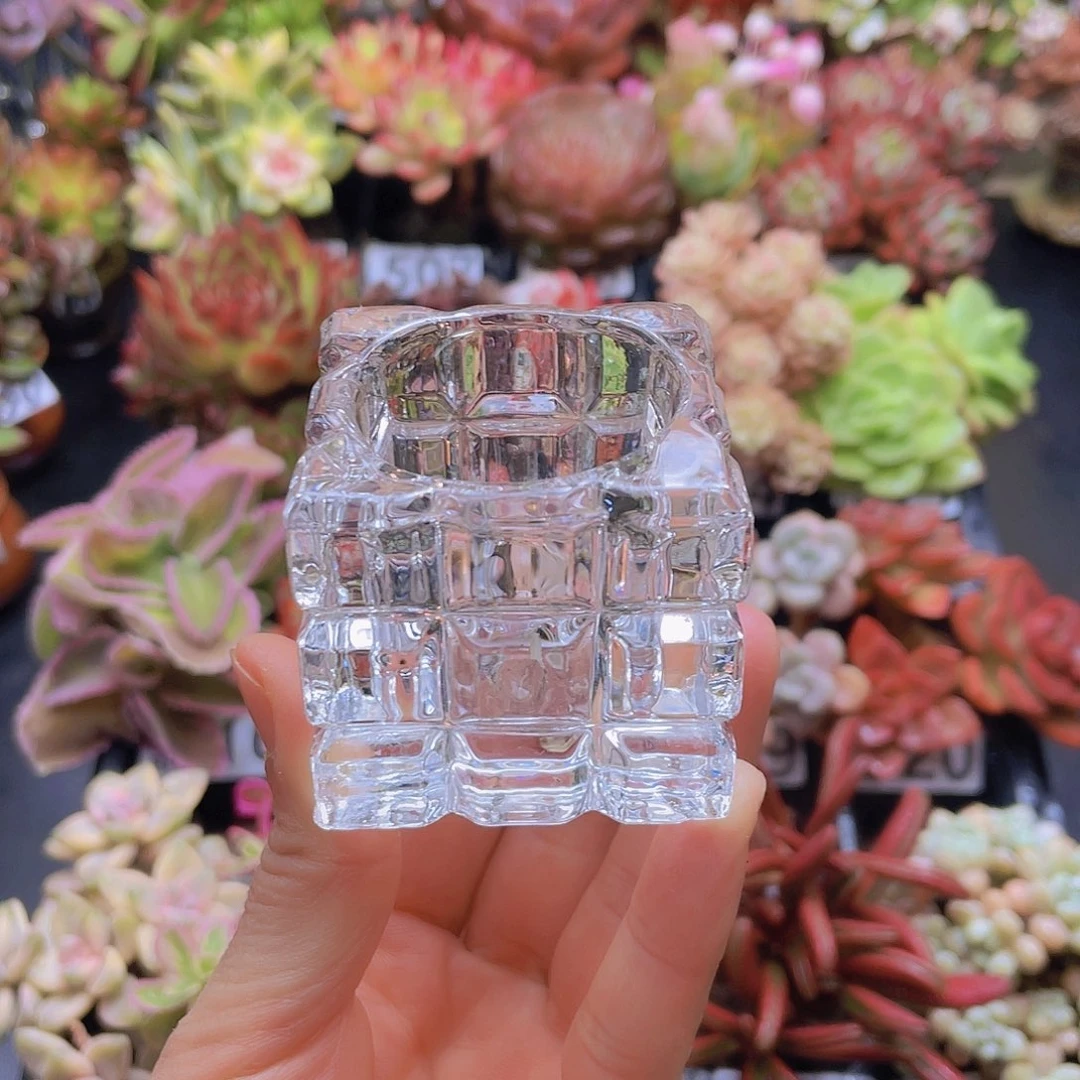 花钱花钱花钱花钱花钱