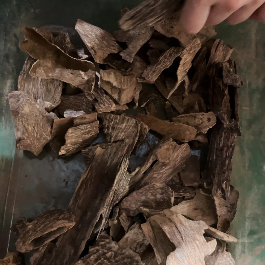 芽庄壳子 20克。