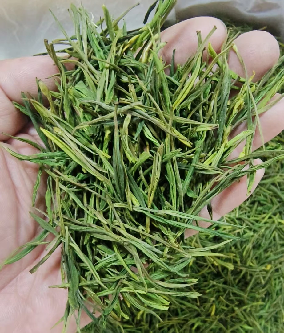 2025年新茶高山白茶原产地茶叶绿茶白茶毛峰