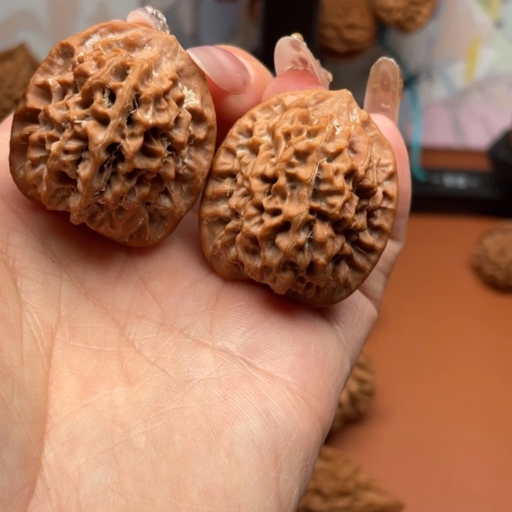 S***g秦核等人的故事也在