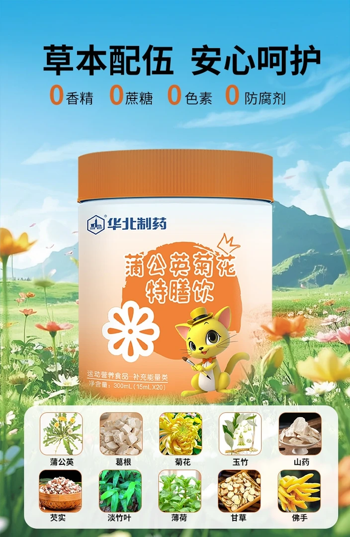 华北制药蒲公英菊花特膳饮