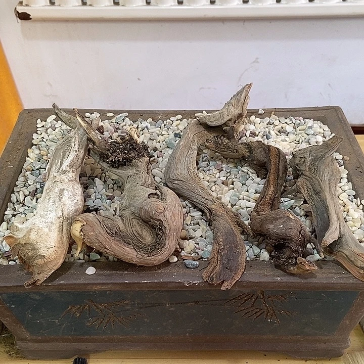 柏木崖柏根雕天然艺术