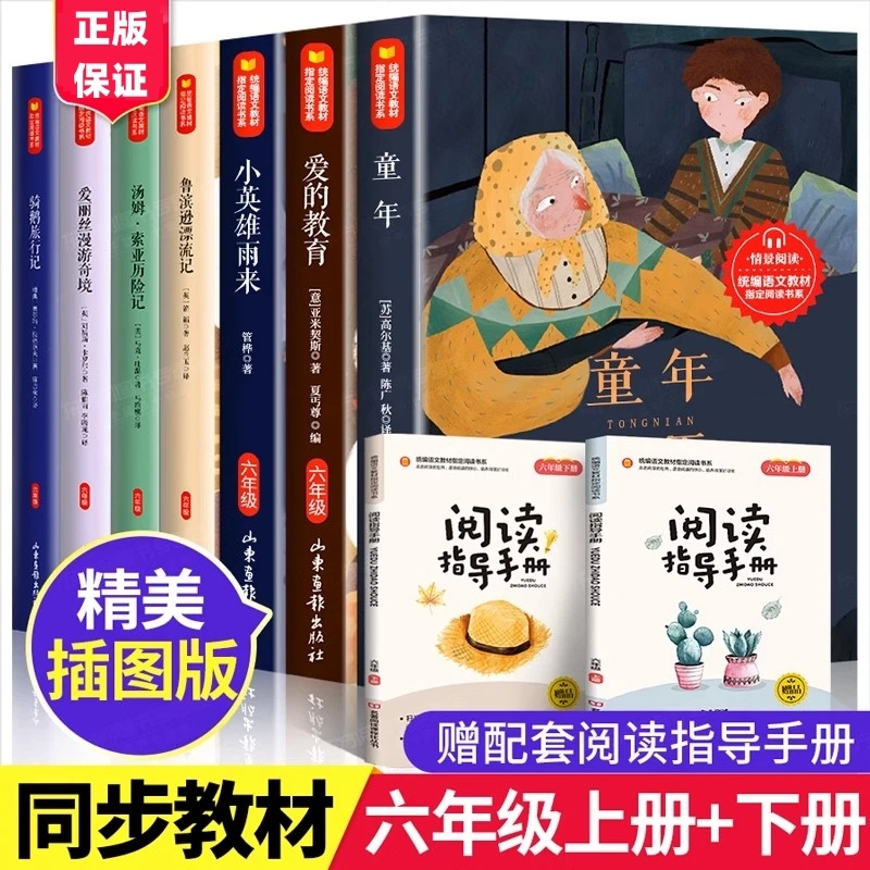 六年级必读书 童年爱的教育小英雄雨来 鲁滨逊漂流记快乐读书吧书