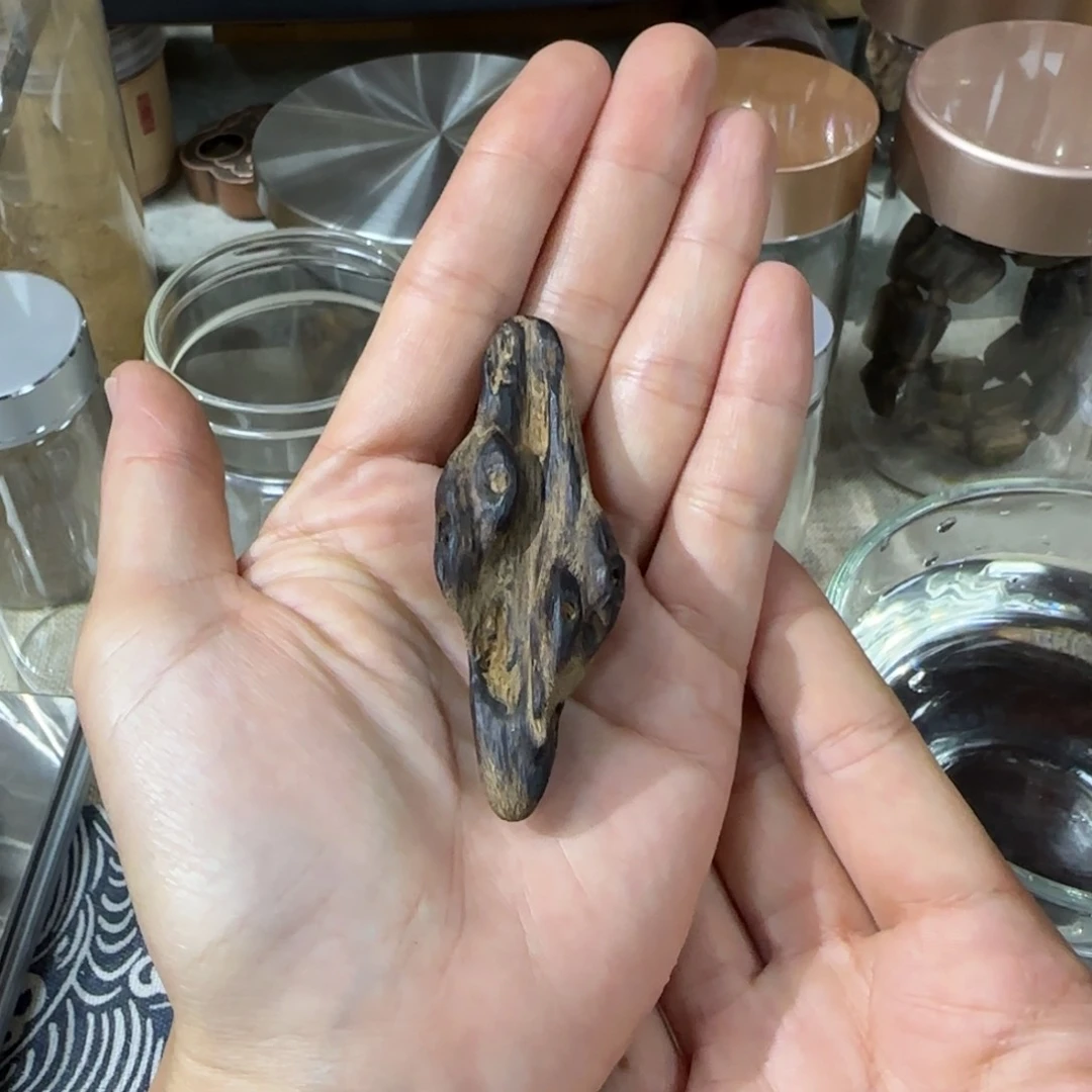 沉香吊坠海南野料沉香树钉虫漏沉水12.3克