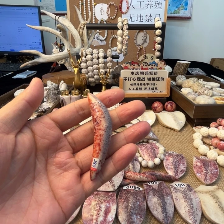 养殖梅花鹿三界角牙