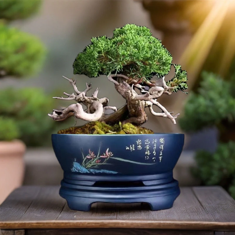 宜兴紫砂花盆椭圆形榕树盆景盆栽迎客松老鸦柿灵芝老桩特大号花盆