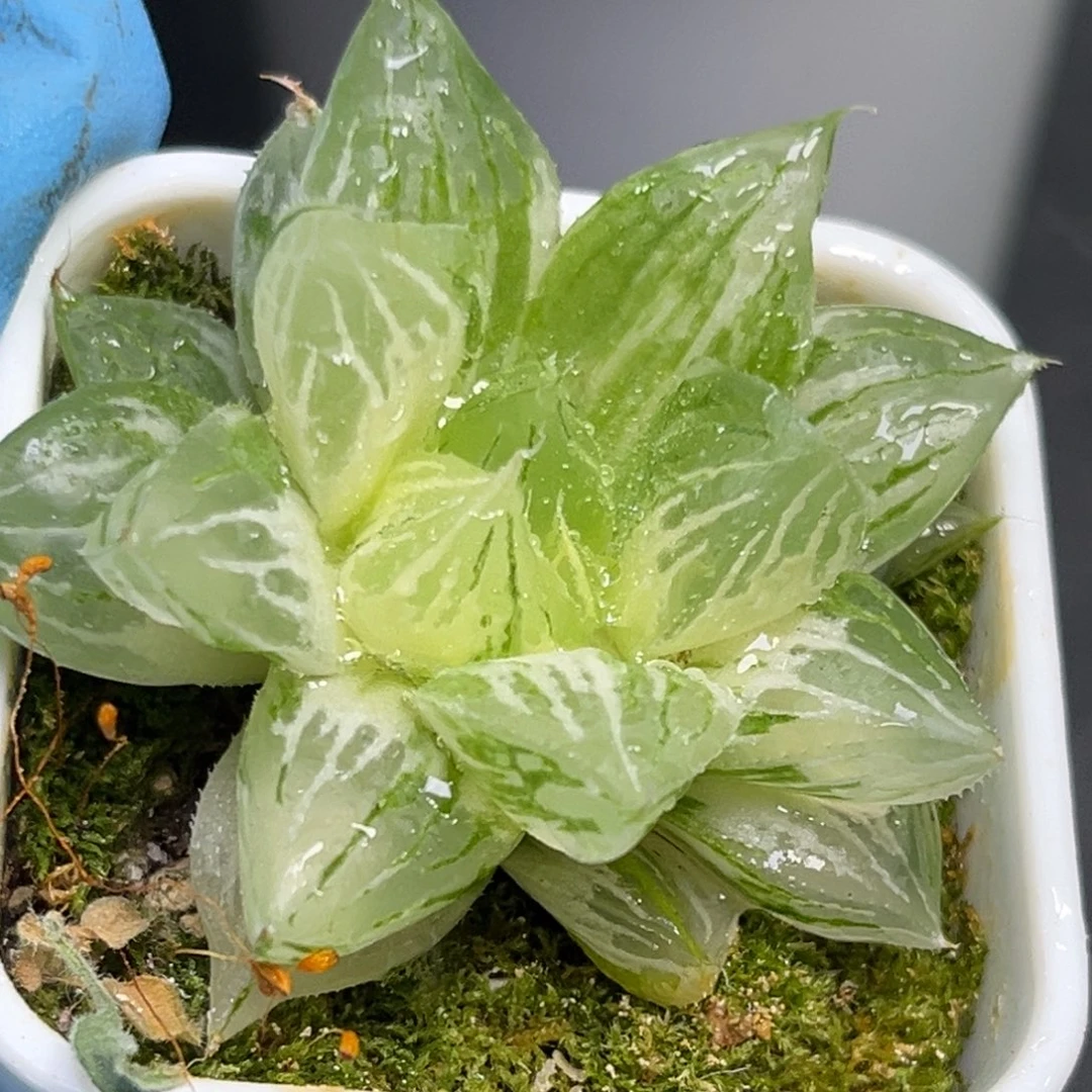 恭喜发财大吉大利1023