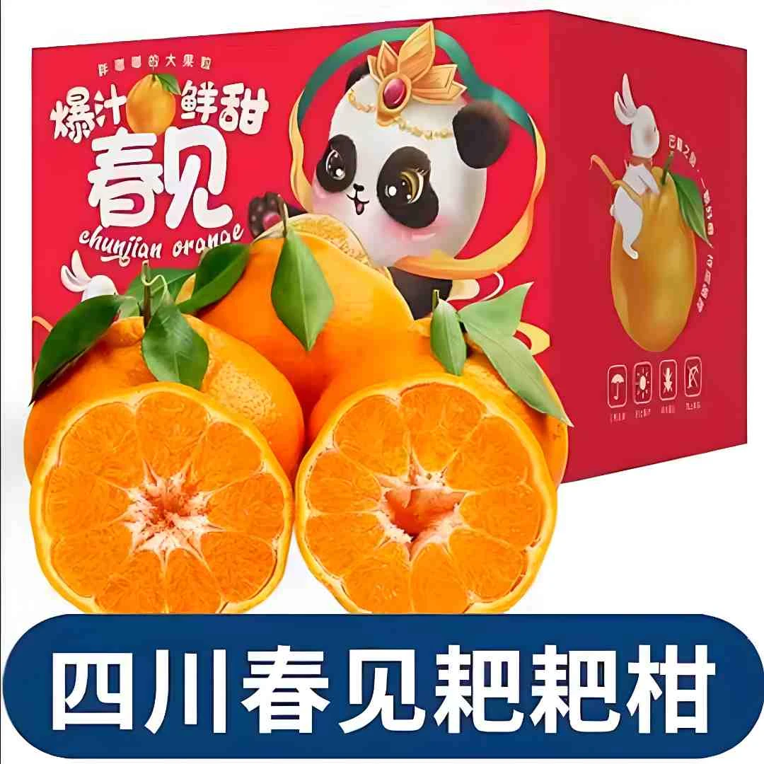 【商超品质】包甜一级果/新鲜现摘四川眉山春见耙耙柑桔子橘子水果