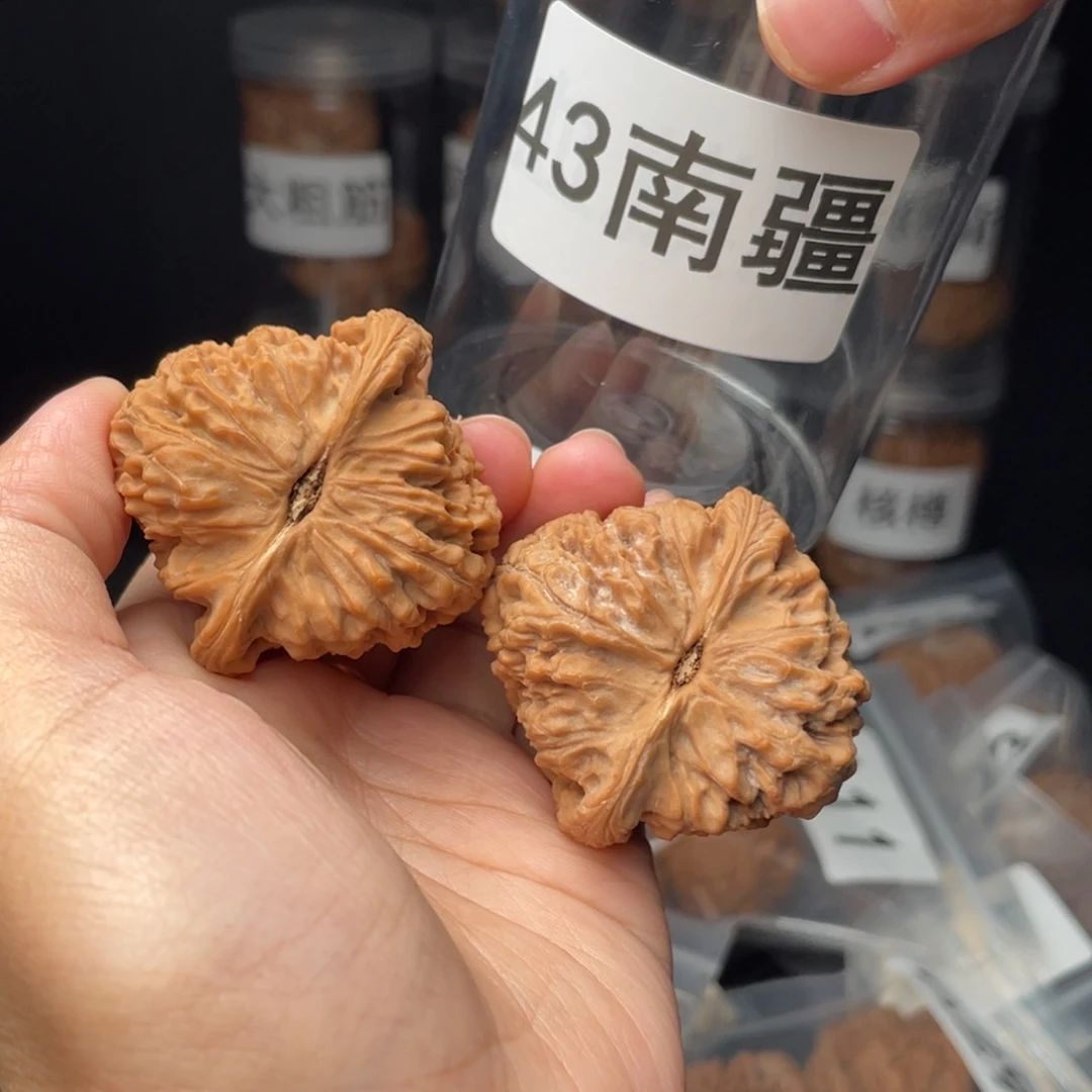 文玩核桃把件丁**儿全品43南将