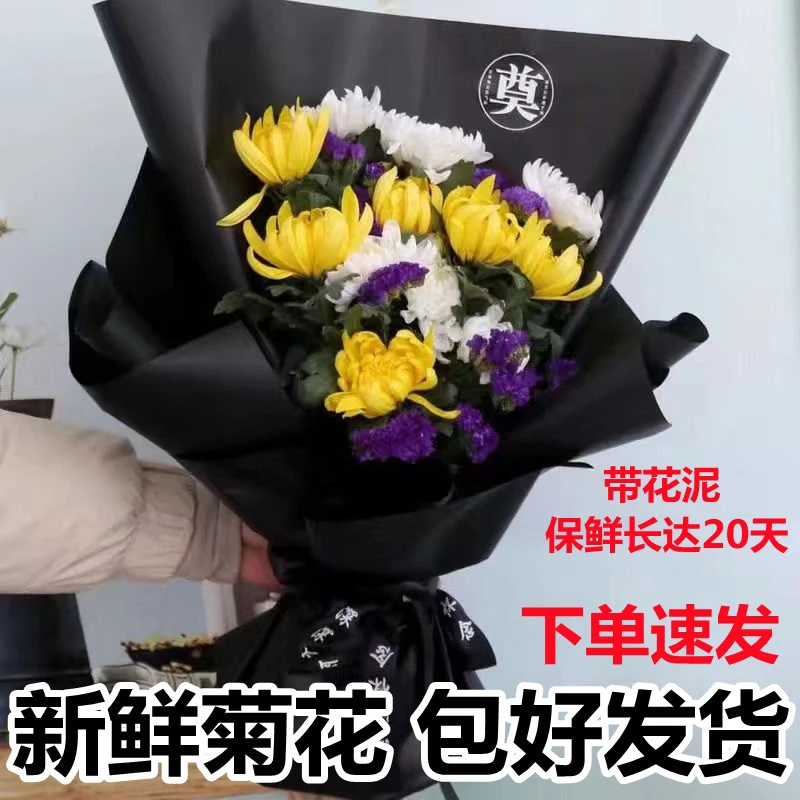 11支黄白菊【包好发货】新鲜菊花