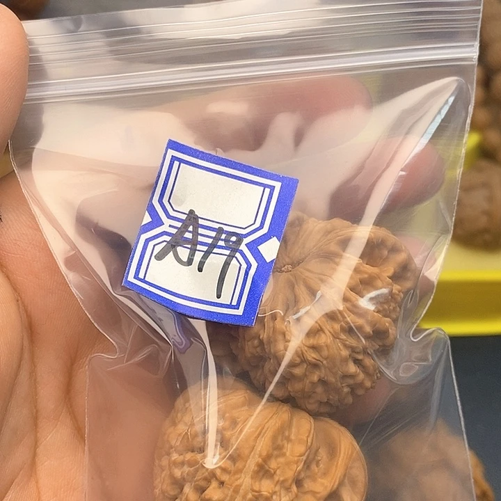 文玩核桃把件白狮子