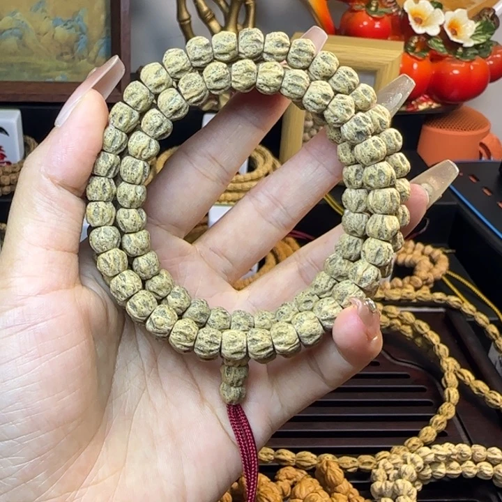 非洲檀香无事牌苗