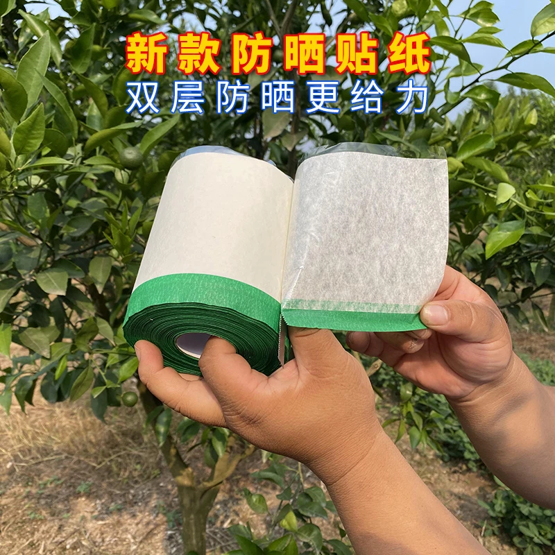 柑橘双层防晒贴纸太阳果贴纸水果防晒纸柑桔防晒贴果子橘子防晒