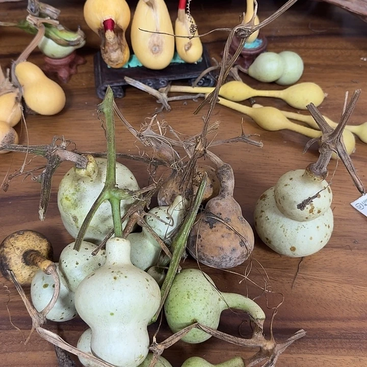 小***洪lhckhcohcucoycoycyoycufuv