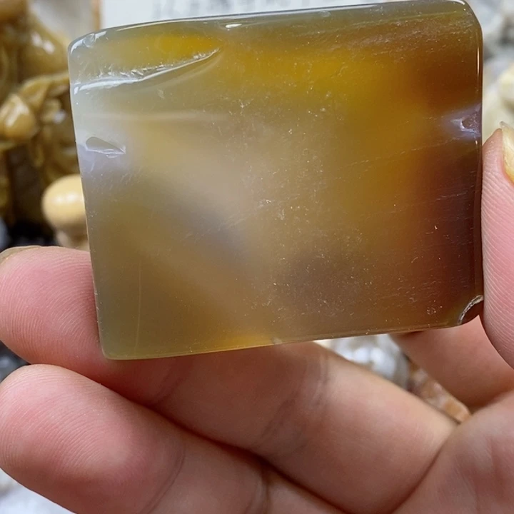 颈饰未镶嵌硅化珊瑚（珊瑚玉）