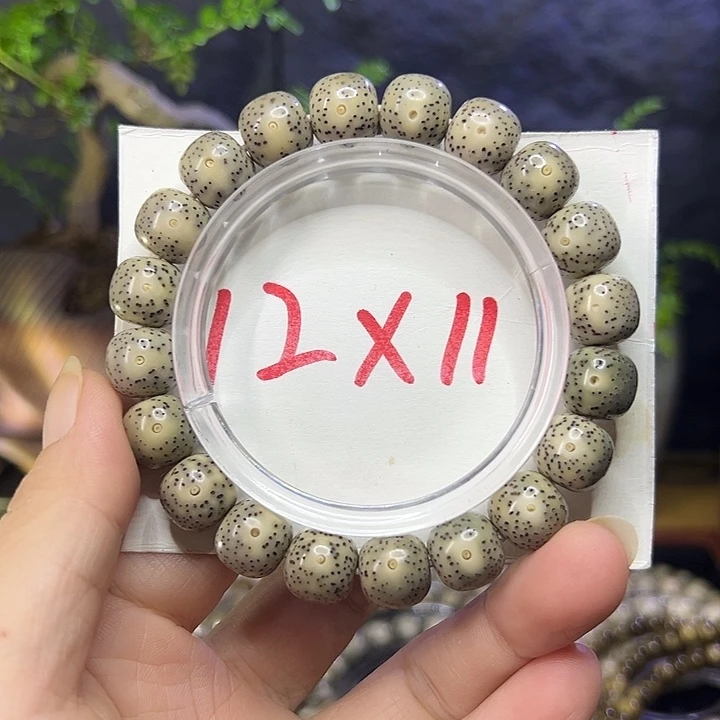 手串星月菩提海南原生太