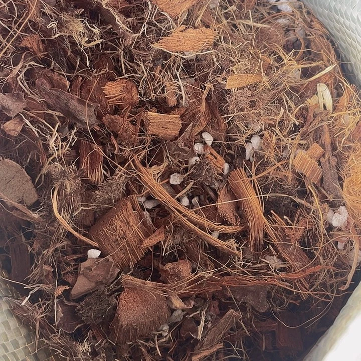 架接法师专用养护土01号