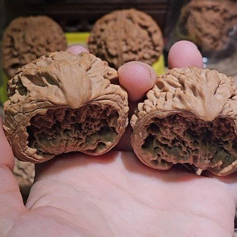 文玩核桃吊坠48聚宝盆