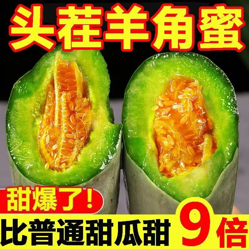 【主播补贴】专属补贴山东源头直发脆甜新鲜羊角蜜