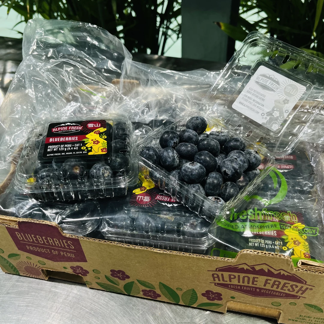 【全国八省】五盒装进口新鲜蓝莓  花香味足（单盒125g）