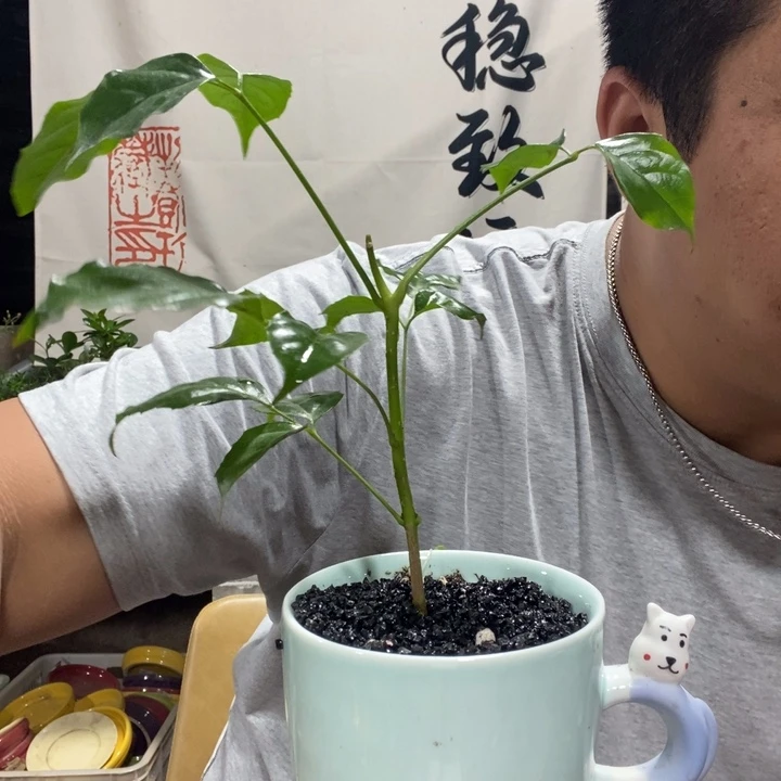 l****_一物一拍所见即所得140