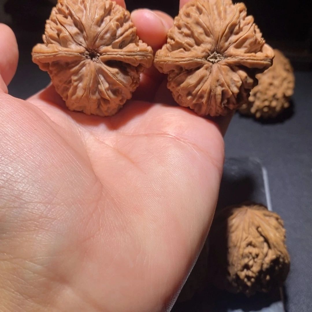 文玩核桃吊坠l****丶水龙