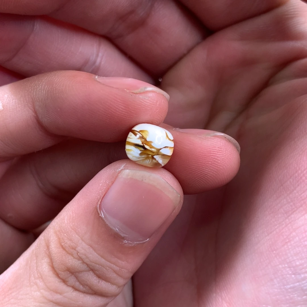 大***蕊琥珀未镶嵌珠宝奇石