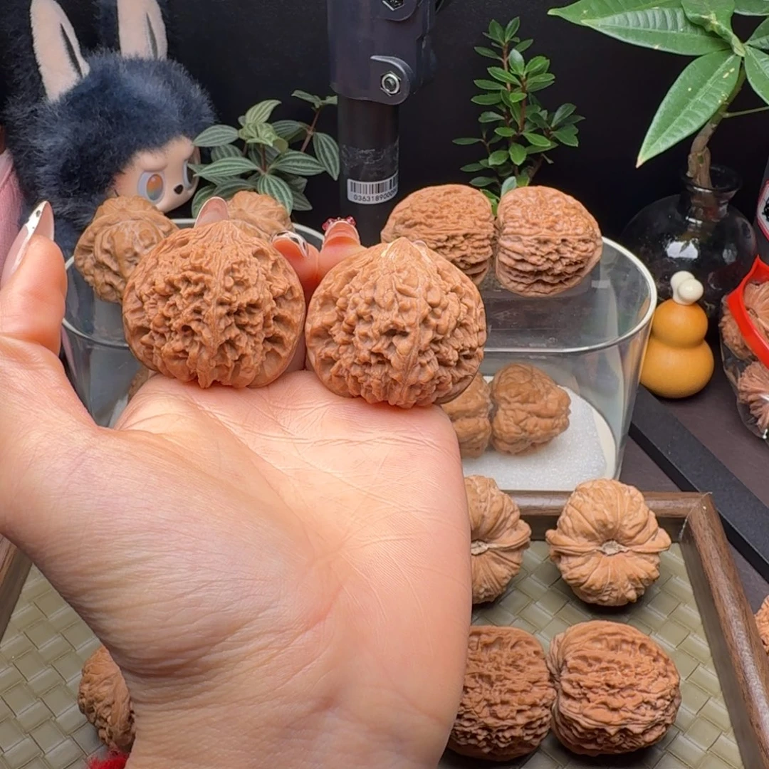 小***博把件龙脊菩提全品满天星42