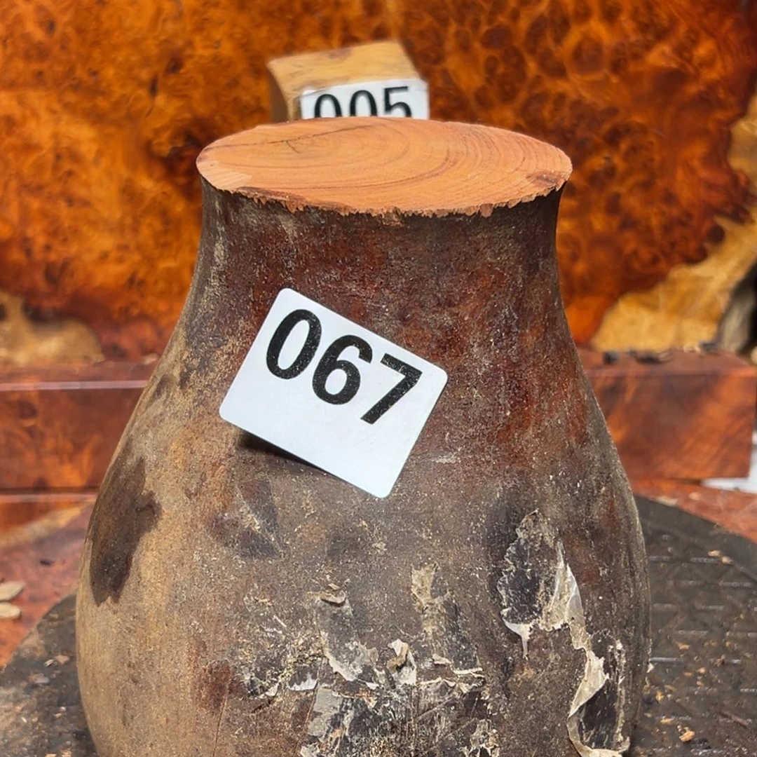 大果紫檀（缅甸花梨）