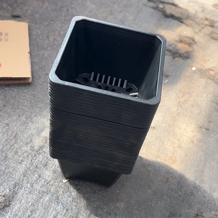 120黑方盆11公分30个