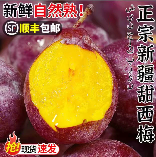 正宗新疆喀什西梅3斤4斤当季新鲜水果现摘脆甜西梅 顺丰包邮