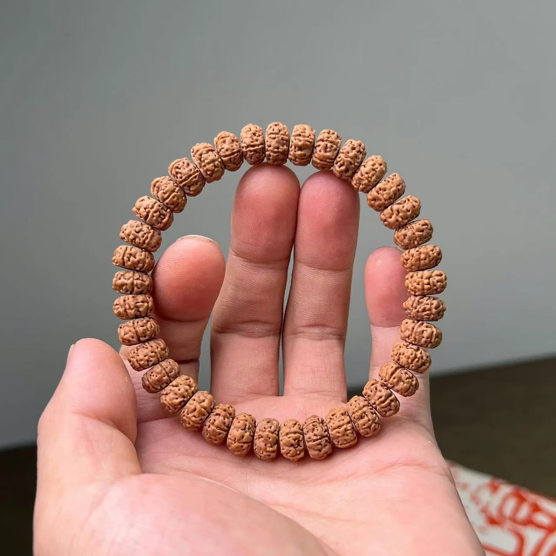 纯血六瓣树王暴力归圆单圈